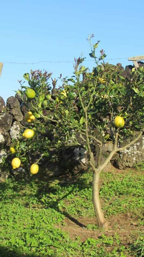 Casa Da Arquinha Villa Santo Amaro  ภายนอก รูปภาพ